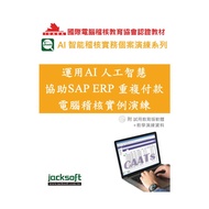 Use AI Artificial Intelligence Assist SAP ERP Repeated Payment Computer Auditivation Example Exercis