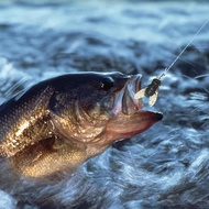 Fly Fishing Flies Kit Rubber Fly Fishing Lures Barbed Hooks For Bass Trout Salmon Biomimetic W0h2