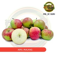 BUAH APEL MALANG, BUAH LOKAL, BUAH SEGAR, / (1KG)