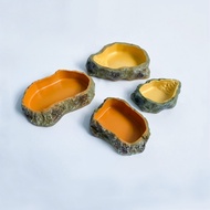 [Reptile Special Attack Team] 24 Hours Reptile Simulation Rock Food Basin|Reptile Basin|Gecko Basin|