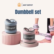 Pair of Sandbags for Wrists Ankles Weights for Hands and Legs Exercise Running (A pair x 0.5 kg/pcs)