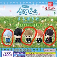 銀魂 銀八老師扭蛋 神威 放/換紅圈