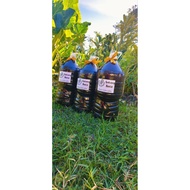 3Bottles 7Liters Svkangiloco(special hindi puro)