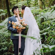 哈利波特概念面紗