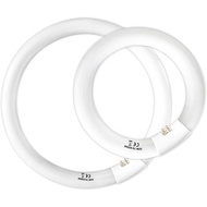 Set FC8T9 22W dan FC12T9 32W Daylight, Mentol Lampu Bulat T9 22 Watt 8 inci, Mentol Fluoresen Circli
