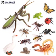 QUENNA Educational Life Cycle Toys Realistic Animal Models Collection Insect Frog Spider Ducks Geese
