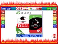 【GT電通】Seagate ST12000VN0008 那嘶狼(12TB/3.5吋)NAS專用硬碟機-下標問台南門市庫存