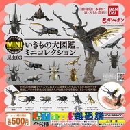 ∮Quant雜貨鋪∮┌日本扭蛋┐ BANDAI 生物大圖鑑-昆蟲篇03 全6款 美西白兜蟲 羅森伯基黃金鬼鍬形蟲 轉蛋