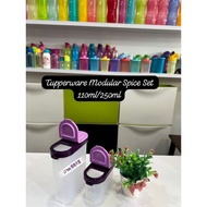 Tupperware Modular Spice Set (110mL & 250mL) Tupperware Spice Container Tupperware Container