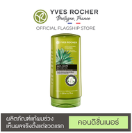 Yves Rocher Anti Hair Loss อีฟโรเช่ แชมพู/ครีมนวดผม 300ml &amp; conditioner 200ml