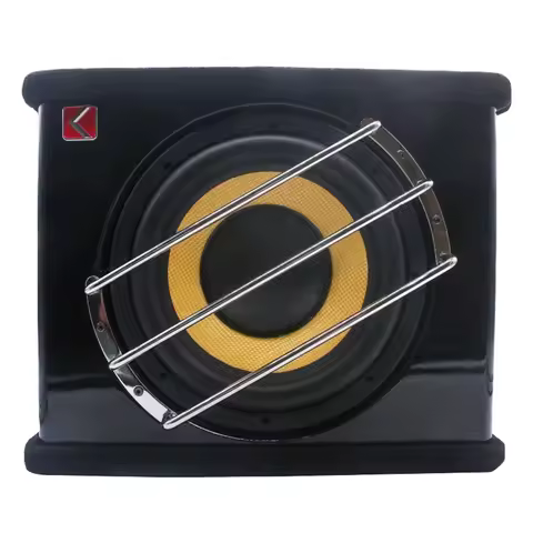 Professional Car Audio Subwoofer 12V Active Car Subwoofer 10 Inch Double Magnetic Double Coils