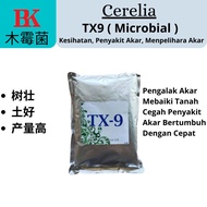 Cerelia TX9 Trichoderma Ghanense(加纳木霉菌) Pengalak Akar Durian, Bunga, Flower, Plants