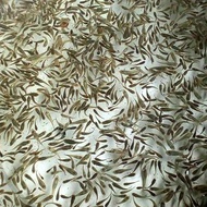 Ikan Cere Sawah Sungai Air Tawar Hidup Pakan Ikan Hias Predator