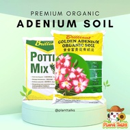 Brilliant Golden Adenium / Desert Rose 富贵花 Organic Soil (10 Ltr) / Premium Soil Mix / High Quality