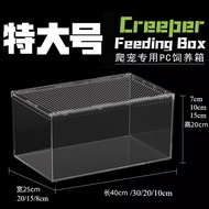 Acrylic Pet Breeding Box, Highly Transparent Lizard Gecko, Arboreal Horned Frog, Water and Land Tank