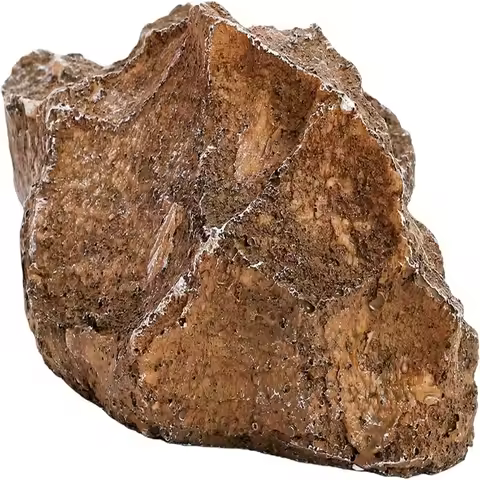 Decorative Resin Reptile Hide Cave Odorless Scratch Resistant Resin Rock Simulation Flat Base Natura