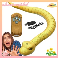 CHANMVPHD Remote Control Snake Toy, Portable Stage Performances Electronic Snake Toy, Electronic Pra