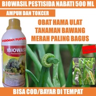 (BISA COD) BIOWASIL 500 ML OBAT PEMBASMI HAMA ULAT BAWANG MERAH, JAGUNG, PARE Obat Hama Ulat Sayuran Bawang Daun - Insektisida Ulat Pada Tanaman Bawang Merah - Pupuk Semprot Atasi Hama Ulat Daun Bawang Bagus - Pestisida Nabati Hama Ulat Bawang