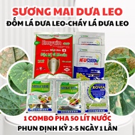 Combo kiểm soát sương mai dưa leo | Newsuran (Dimethomorph) + Rovia (Pyrimetanil) + Mikcide (Tetrana