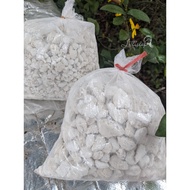 Husk wine yeast - broken yeast