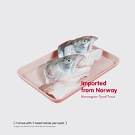 [Fresh] salmó head | Fjord Trout head