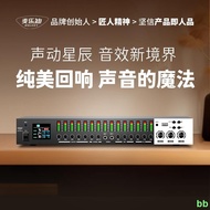 Mledi DSP6300 Pro Preamp Effect Reverberator Professional k-Song Anti-Roaring ktv Audio Processor