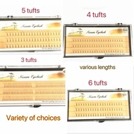 3D 4D 5D 6D 10D 8/10/12/13/14/15mm Wave Individual Eyelash Extensions Mink Hair Various Choices