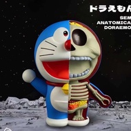 พร้อมส่งจากไทย โมเดลฟิกเกอร์โดเรม่อน Semi Doraemon Anatomy 28 cm โมเดลโดเรม่อนตัวใหญ่ น่ารักมากก