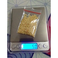 Bibit/Biji cabe Rawit Ramos lokal dairi buah hijau 5 gram isi