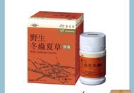 余仁生野生冬蟲夏草膠囊