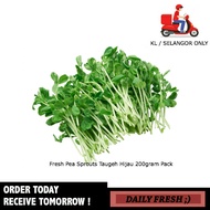 Fresh Pea Sprouts Taugeh Hijau 200gram Pack Fresh Vegetables