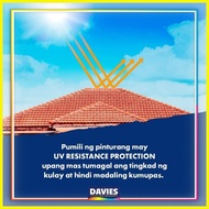 ✗ ㍿ ⊕ DAVIES ROOFSHIELD ROOF PAINT (4liters)