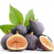 100 pcs Fig fruit seeds/ biji benih pokok fig/无花果种子
