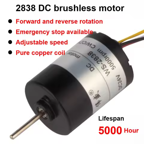 12V brushless DC motor 24V micro adjustable speed high-torque motor power tool accessories 2838 forw