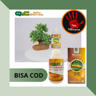 Obat Cikungunya Herbal - Demam Nyeri Sendi Tulang Flu Demam Berdarah Tipes Malaria Demam Tinggi Nye