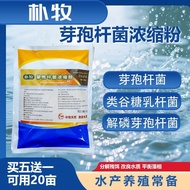 Aquaculture Compound Spore Bacillus Dedicated Water-Regulating Degrading Sub-Salt Ammonia Nitrogen F