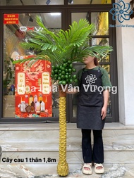 Cây Giả Cây Cau 3 Thân 16m Và 1 Thân 18m Cây Trang Trí Decor