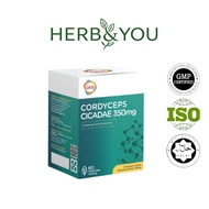 [buy 3 free 1] GKB Cordyceps Cicadae 350mg Cordyceps Cicadae 60s