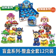 Wang Team Wang Team Set Wang Team Puppy20260608