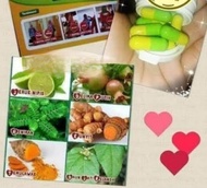 JATI BELANDA MENIRAN JERUK NIPIS KUNYIT DELI MA PUTIH TEMULAWAK MIX Isi 100 Kapsul Program Diet Turu