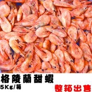 @@E-海鮮鋪@@《北極甜蝦5Kg》2019年新到貨！！5Kg賣場