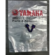 SCREW STEEL TITANIUM M5