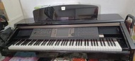 Yamaha Clavinova Digital Piano 數碼電子鋼琴