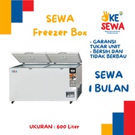 Freezer Box 600 Liter GEA RSA