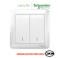 Schneider Electric Switch- (10AX 250V 2 Gang 2 Way Switch, White)