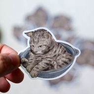 貓貓壽喜燒 貓咪貼紙