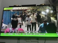 小米電視 55吋 4K 超薄