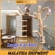 Solid Wood Large Real Cat Tree Cat Climbing Frame Cat Scratcher House Tree Cat Scratcher Post Tree Rest House