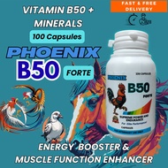 Phoenix B50 Forte – Vitamin B50 + Minerals Capsules (100s)
