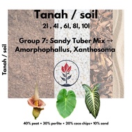 Tanah / soil khas Aroid Group 7: Sandy Tuber Mix → Amorphophallus, Xanthosoma